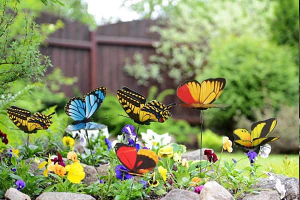 Birds and Butterfly Garden