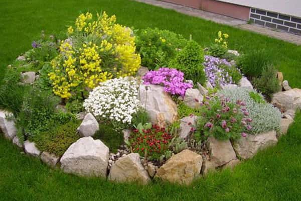 Rock Garden