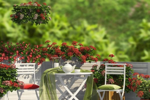 Terrace Garden