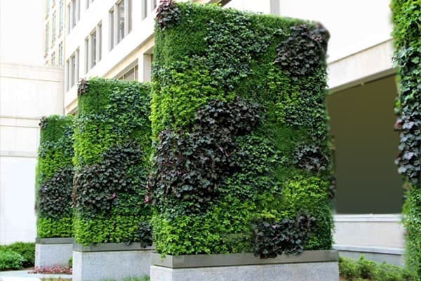 Vertical Garden