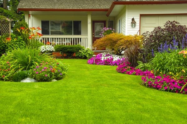 Landscape Gardens