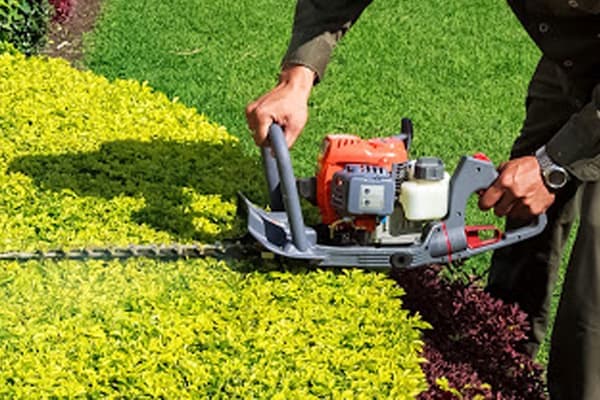 Landscaping & Gardening Maintenance in Trichy