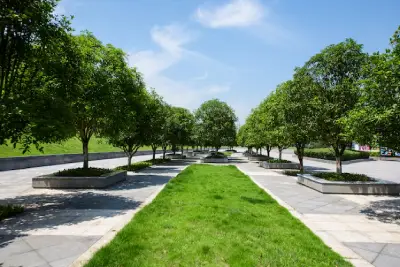 Educational University Campus Landscaping