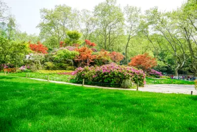 Green Garden 1 Green Garden