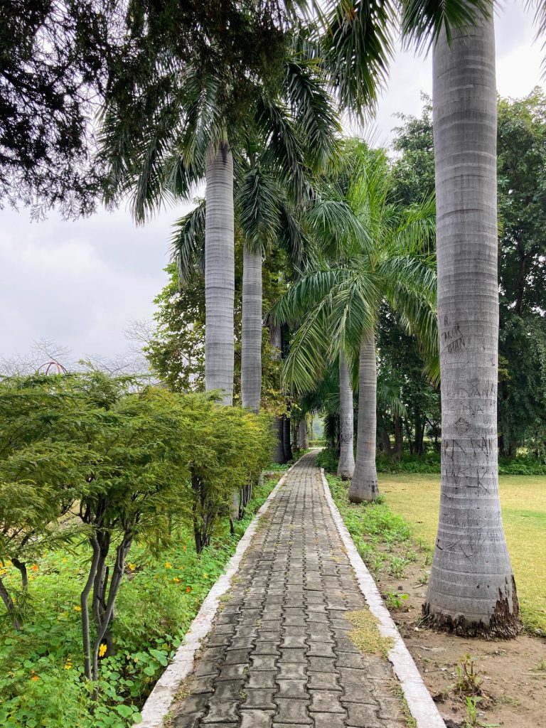 Garden Work in Kanyakumari 6 Landscaped garden with lush tropical planting