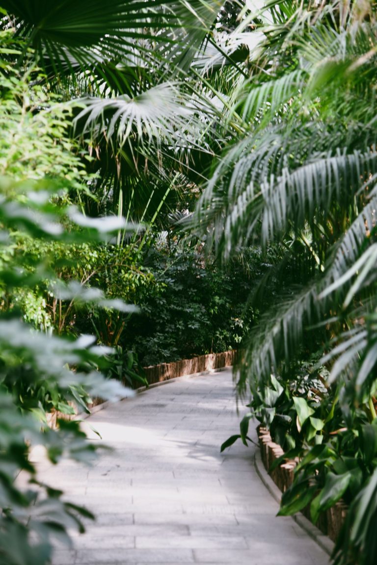 Garden work in Ramanathapuram 3 Landscaped garden with lush planting