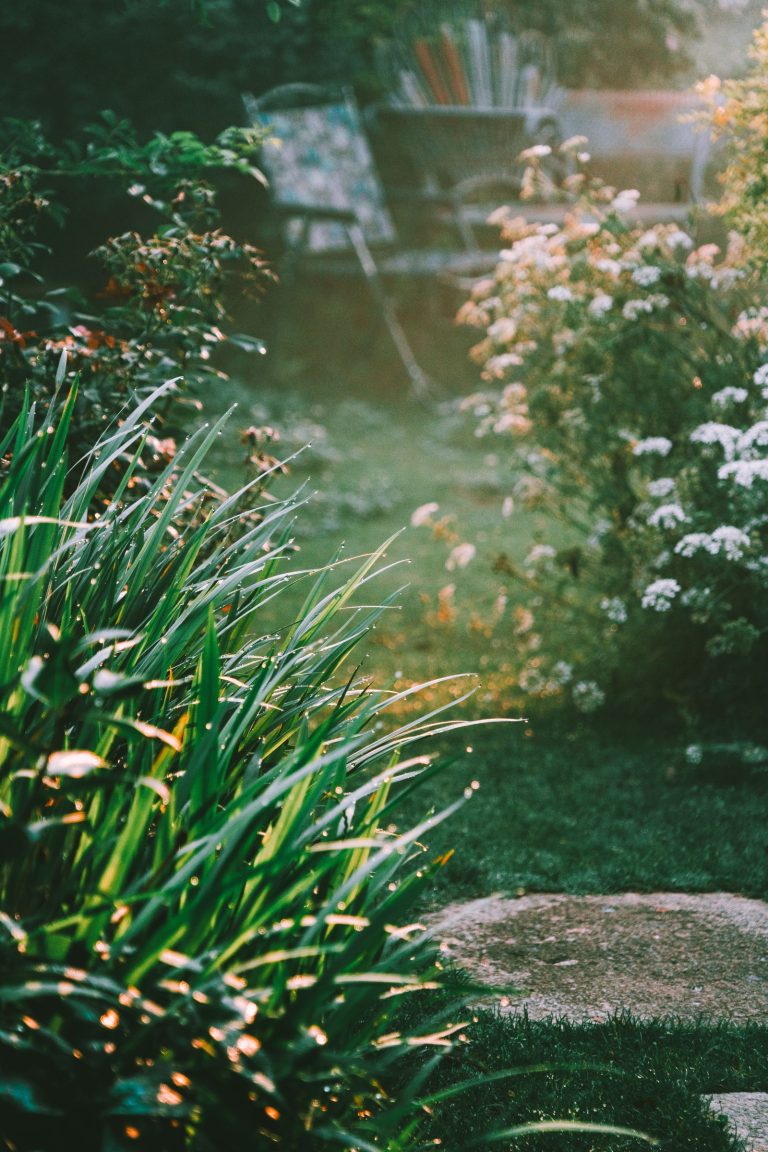 Garden work in kallakurichi 10 Landscaped garden with lush planting