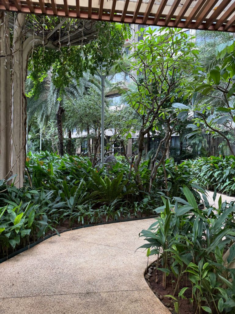 Garden work in chengalpattu 3 Landscaped garden with lush tropical planting