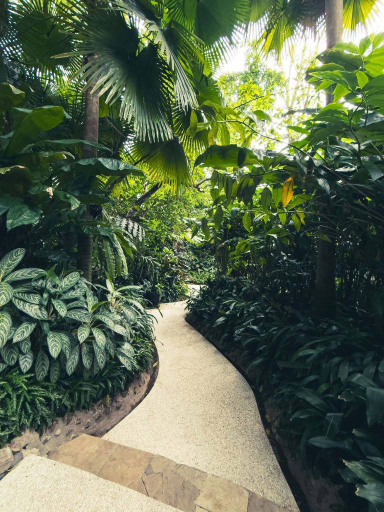 Garden work in dindigul 5 Landscaped garden with lush tropical planting
