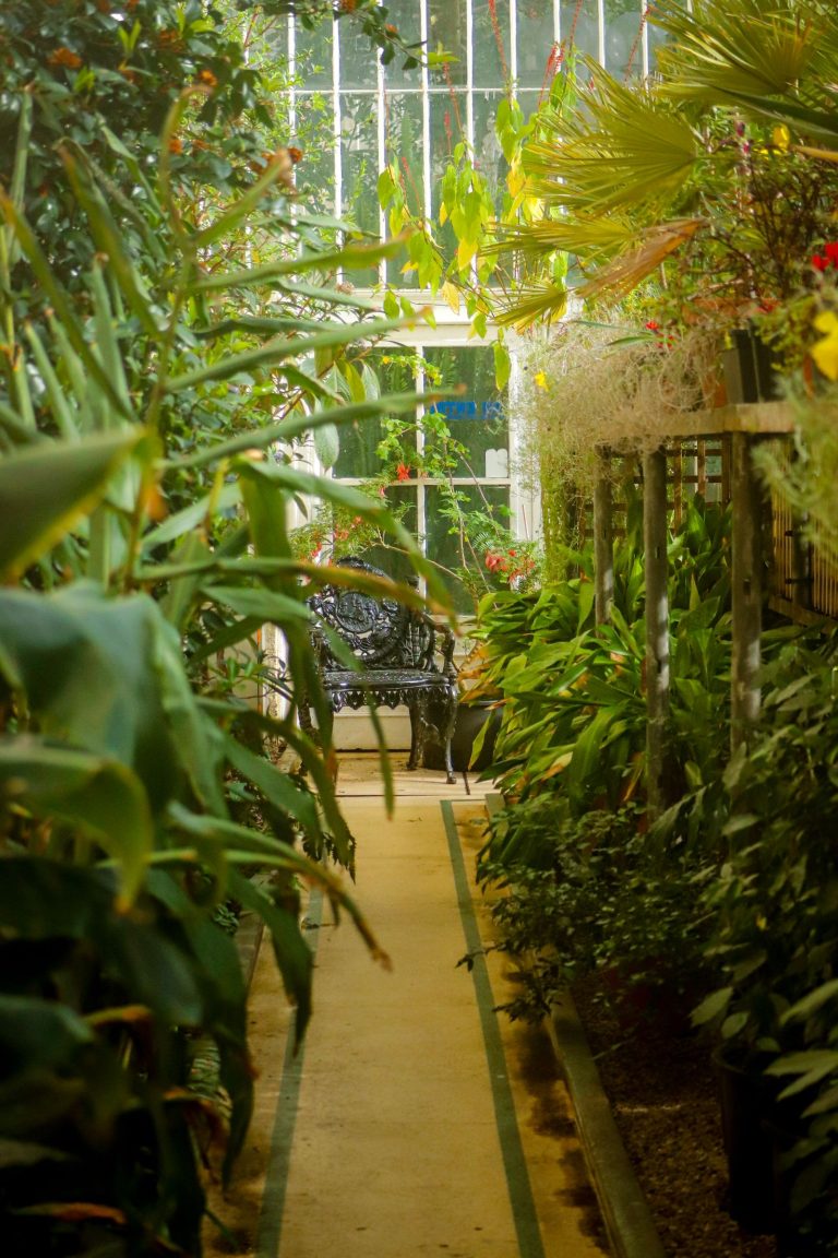 Garden work in virudhunagar 8 Landscaped garden with lush planting