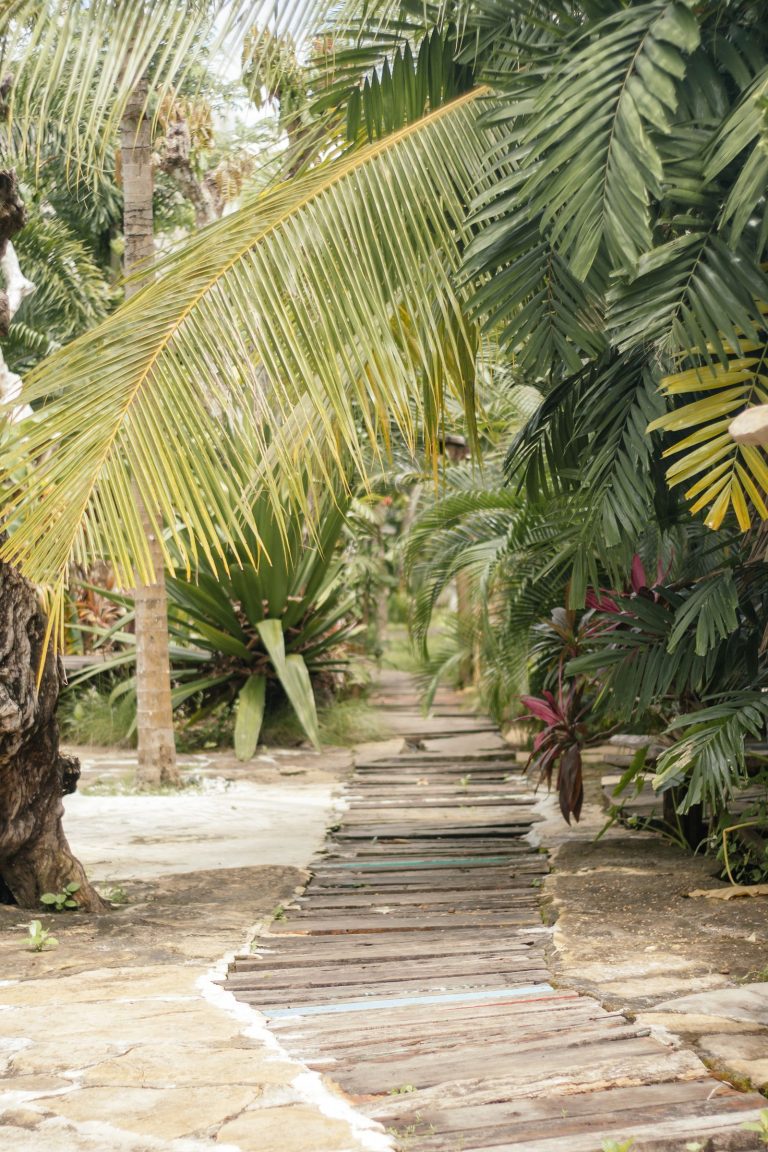 Garden work in Kovilpatti 2 Landscaped garden with lush tropical planting