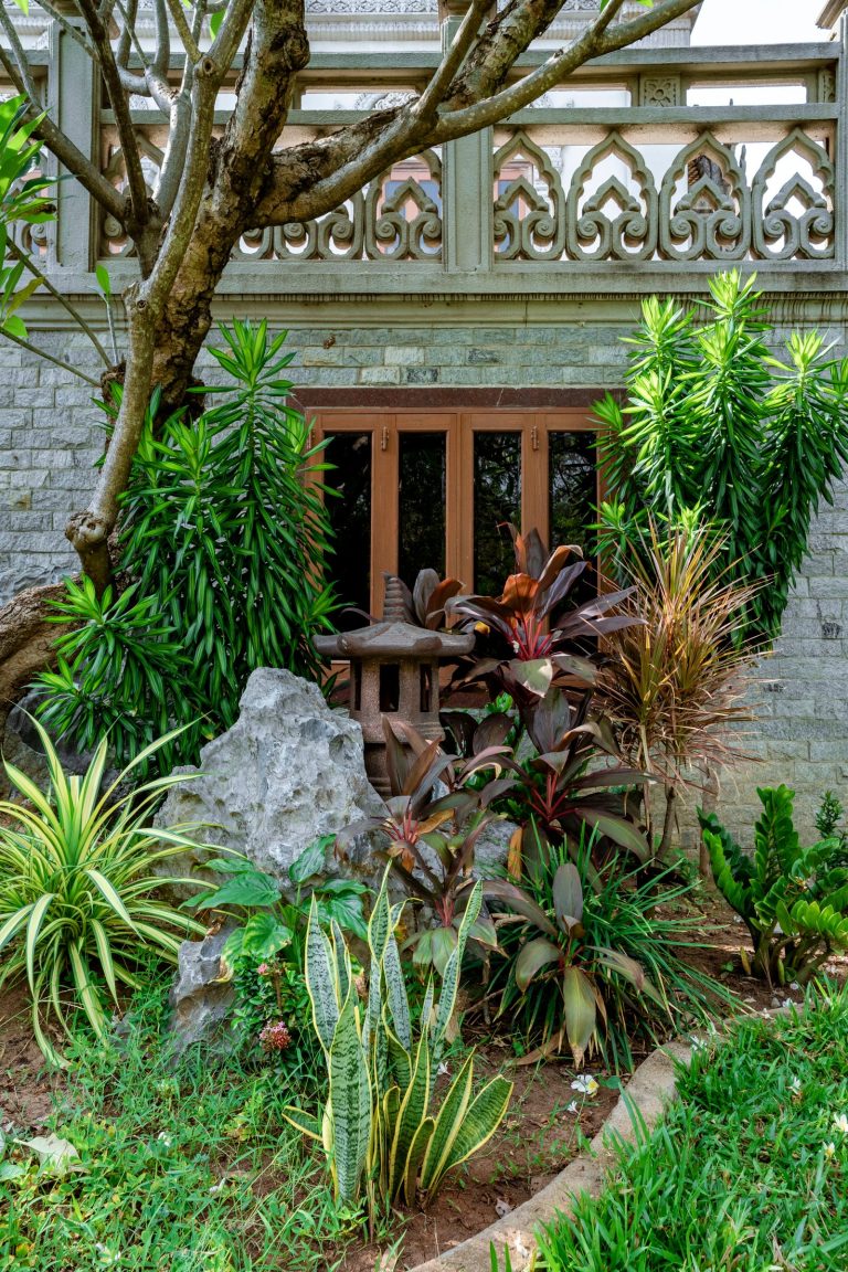 Lush South Indian ornamental garden with foliage plants and a stone lantern