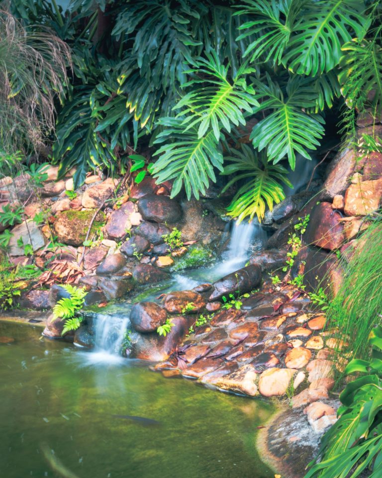 Tropical garden water feature with a small waterfall and rocks