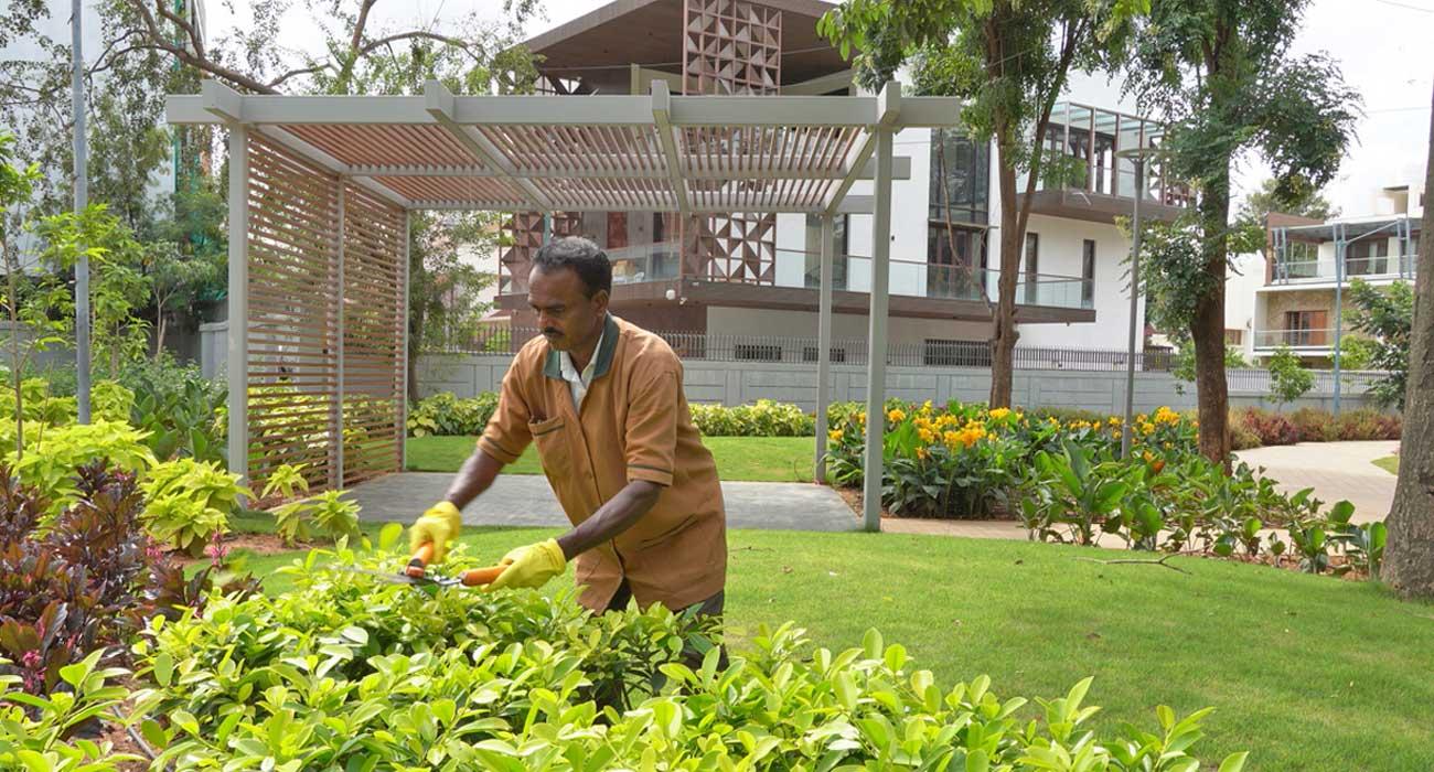 Green Architects Annual Maintenance work