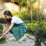 landscape maintenance services
