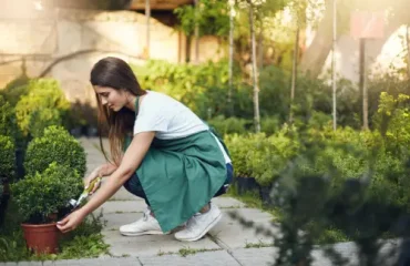 landscape maintenance services
