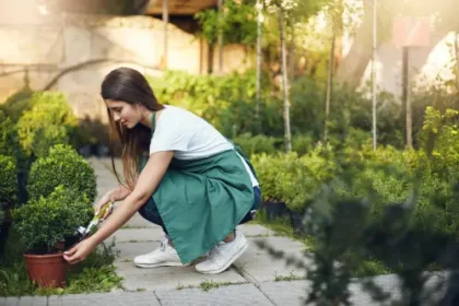 landscape maintenance services