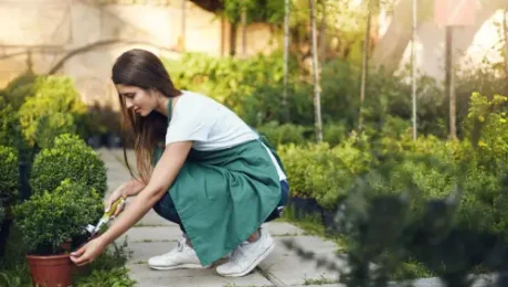landscape maintenance services