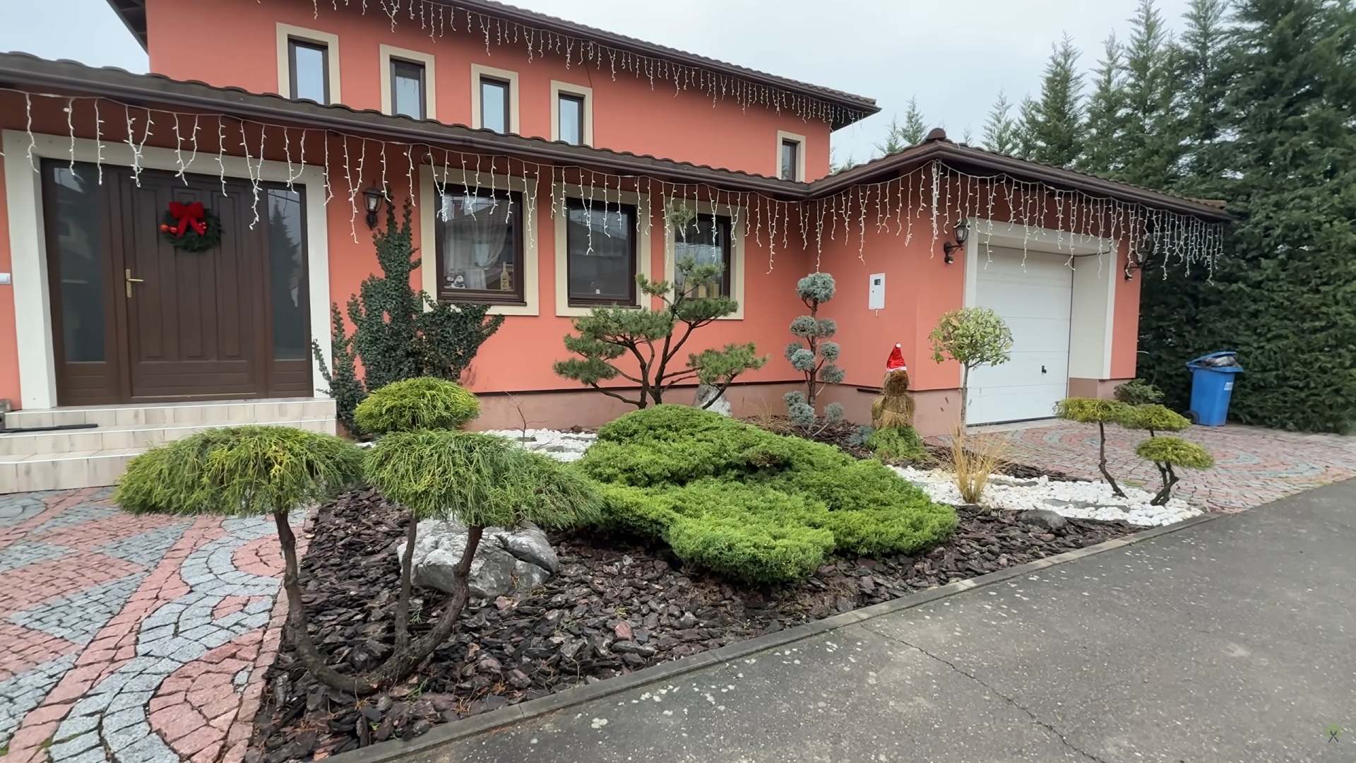 Before: overgrown, unclipped garden shrubs with no defined form