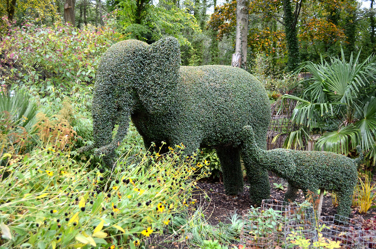 Peacock animal topiary sculpture created from clipped hedging plants