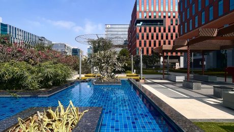 Premium corporate campus landscape with a tiled water feature, pergola and planting beside modern office buildings