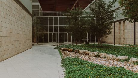Modern commercial building entrance with landscaped planting and a rock bed