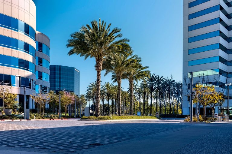 Commercial office plaza landscaped with rows of palm trees