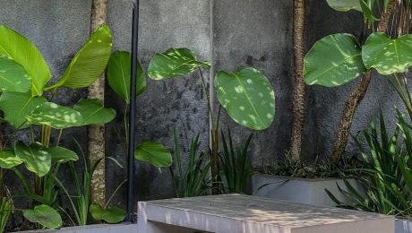 Contemporary garden courtyard with concrete furniture and tropical planting