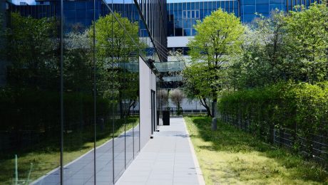 Modern glass office building with a landscaped green walkway and trees