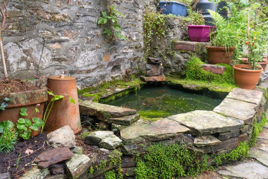 Garden Ponds Lightwell Integration