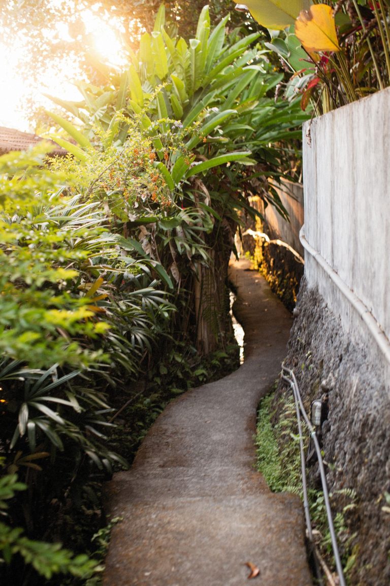 Garden work in Tirupur 4 Landscaped garden with lush planting