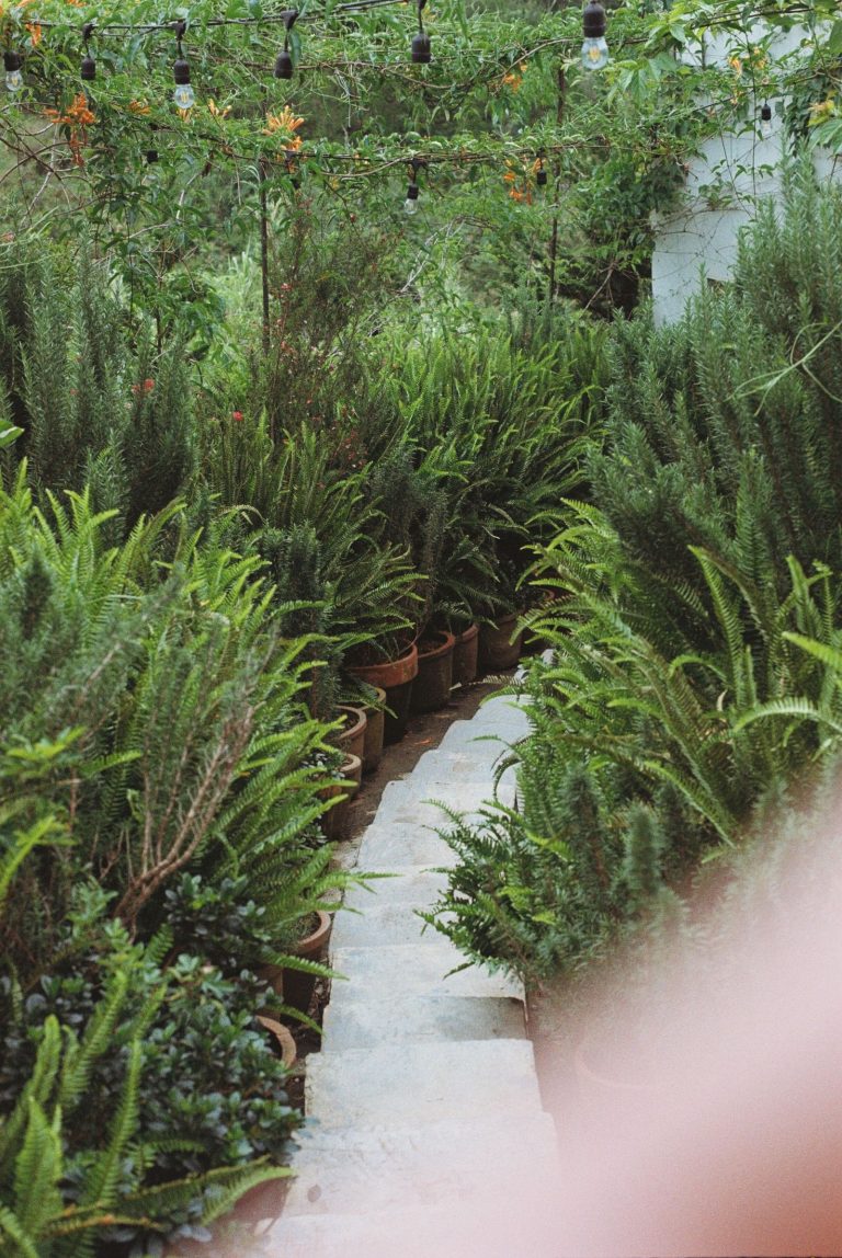 Garden work in Karaikal 8 Landscaped garden with lush planting