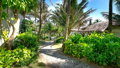 Garden and landscape work Landscaped garden with lush tropical planting