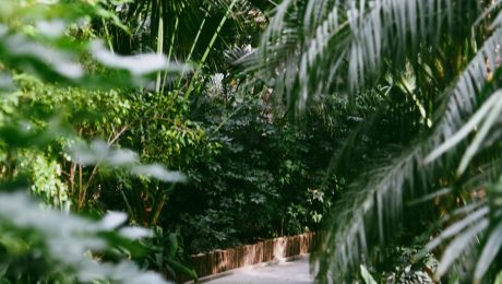 Garden and landscape work Landscaped garden with lush planting
