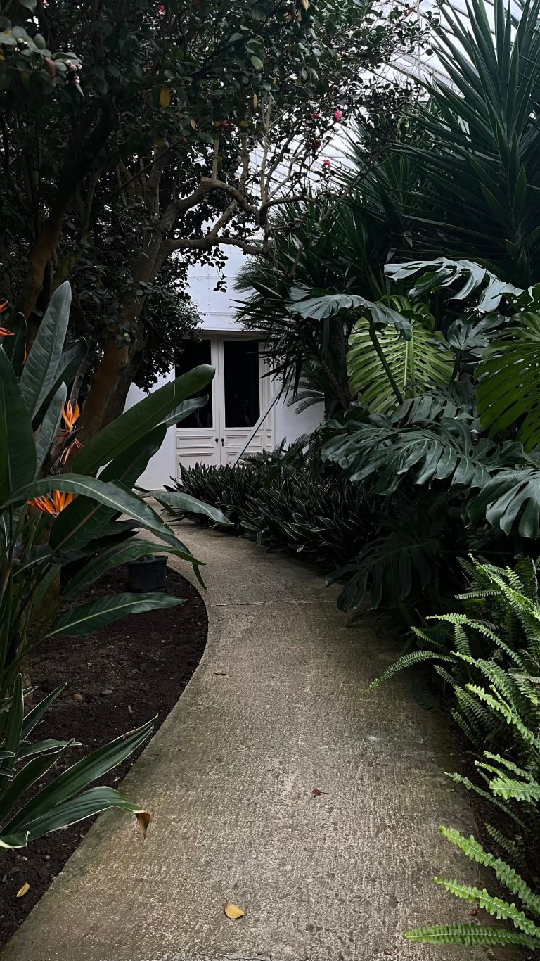 Landscaped garden with lush planting