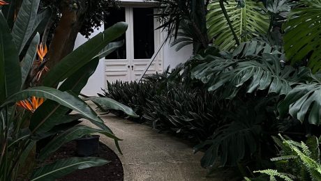 Garden and landscape work Landscaped garden with lush planting