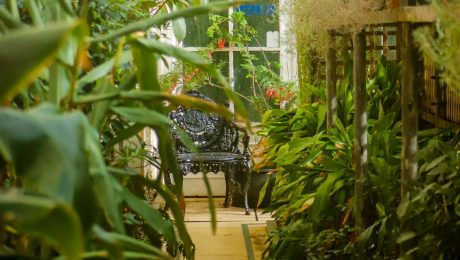 Landscaped garden with lush planting