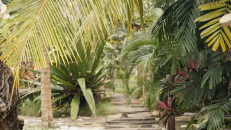 Garden and landscape work Landscaped garden with lush tropical planting
