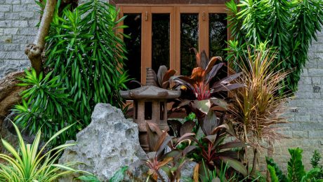 Lush South Indian ornamental garden with foliage plants and a stone lantern