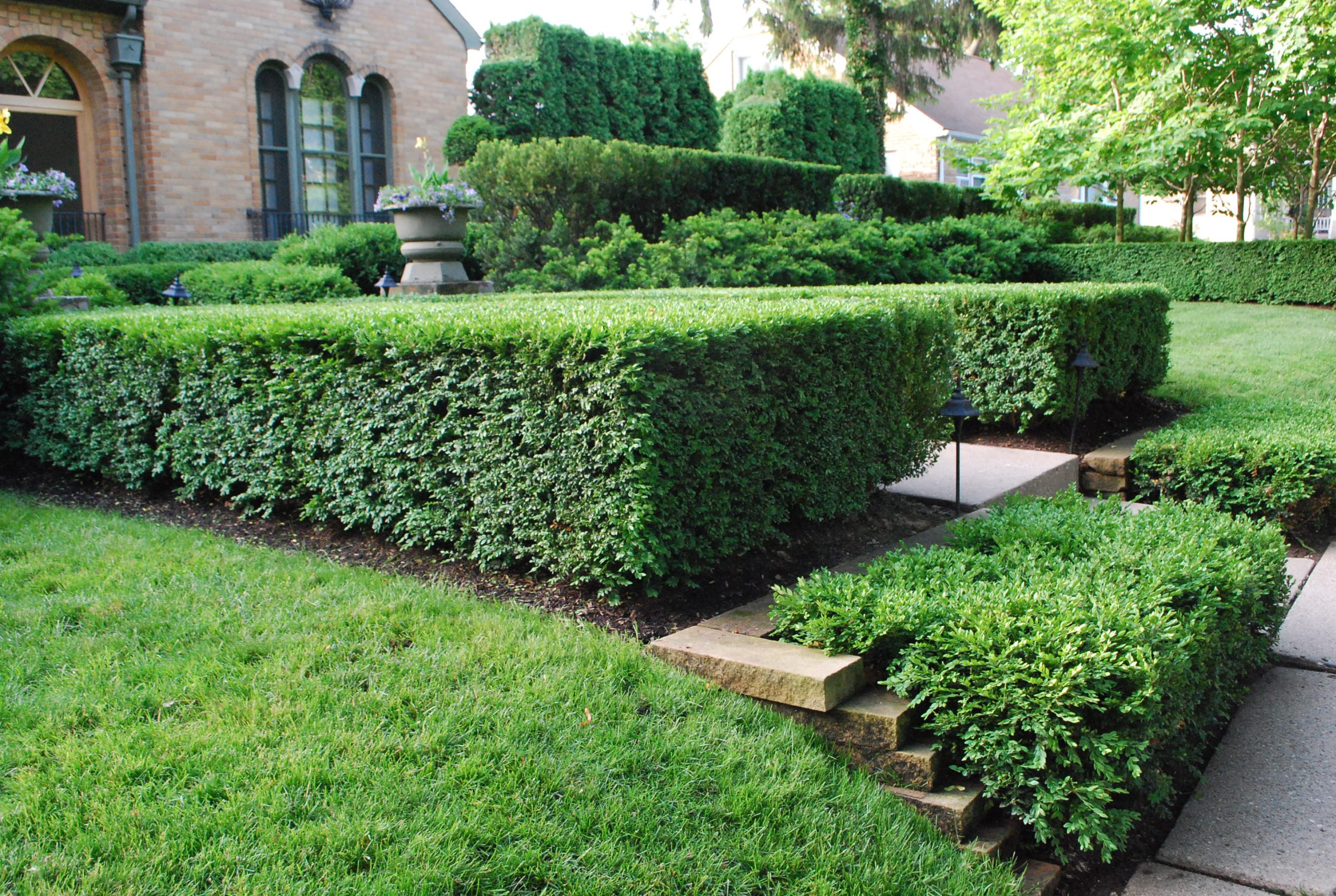 Precisely sheared geometric topiary spheres and cubes in a formal garden