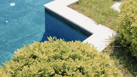 Modern designed landscape garden with a geometric pool and manicured shrubs