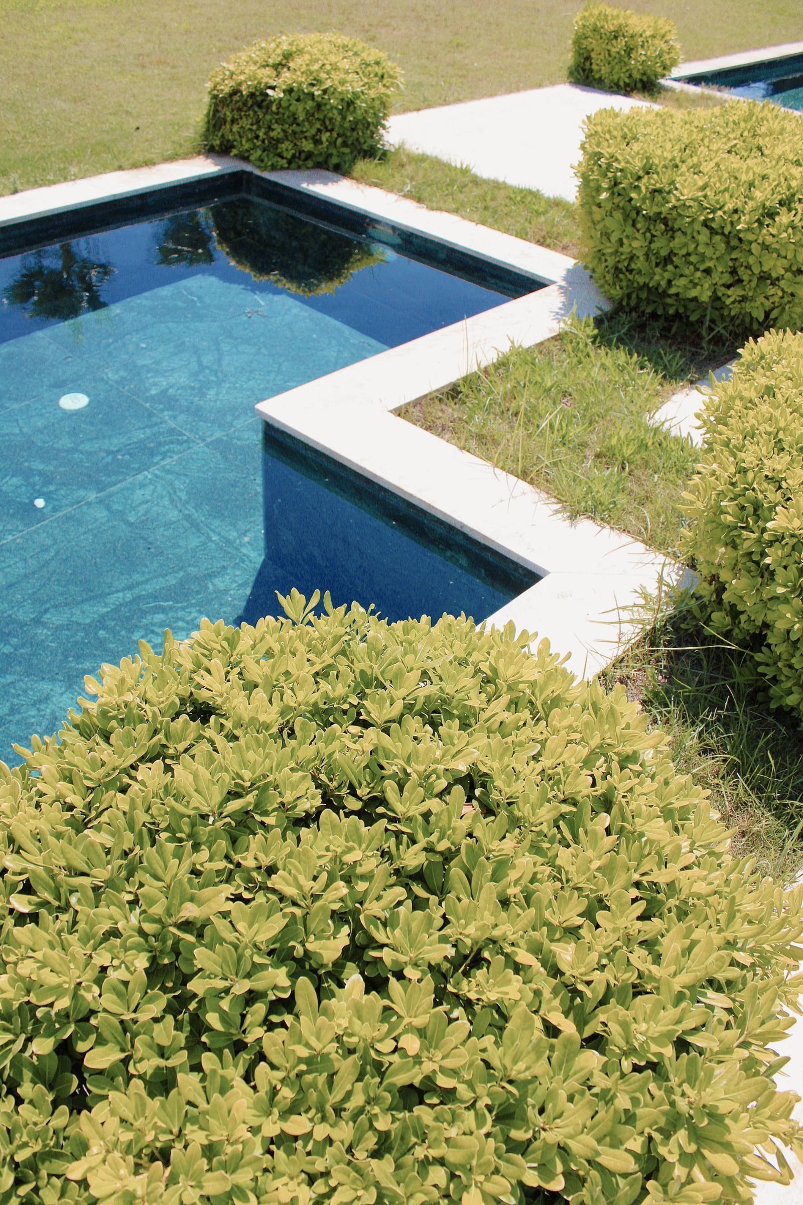 How to Choose a Landscape Architect in India: Process, Costs & Questions to Ask 1 How to choose a landscape architect in India — a professionally designed landscape garden