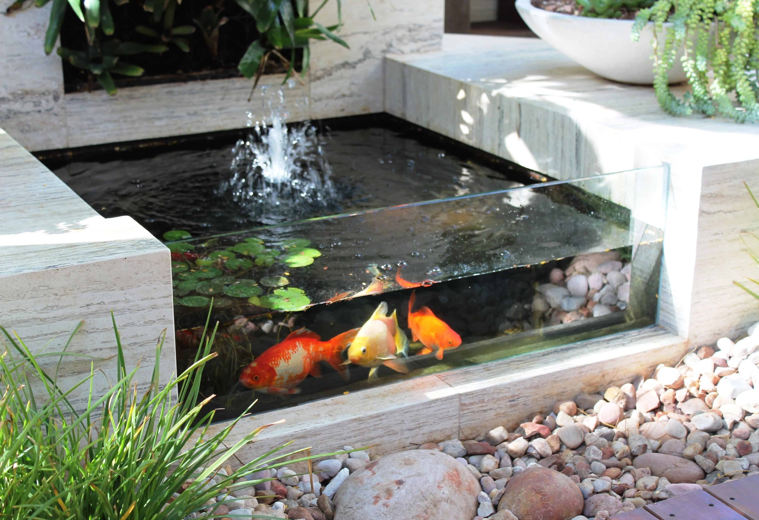 Custom Koi Pond Contractors Finish