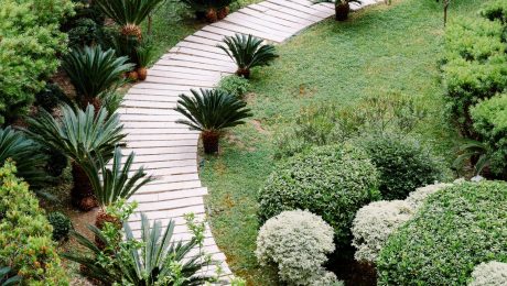 Designed tropical landscape garden with winding path Aerial view of a designed tropical landscape garden with a winding path, cycads and clipped shrubs