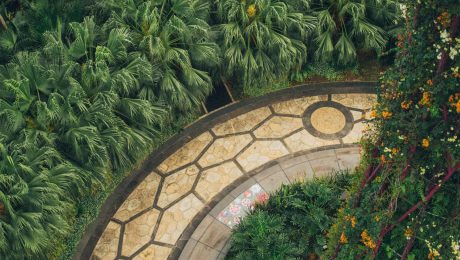 Lush tropical garden with a circular stone pathway