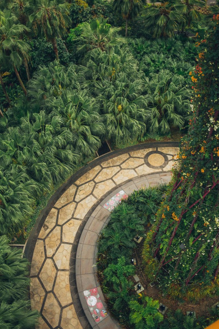 landscape garden circular stone path