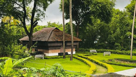 Traditional South Indian house in a lush manicured garden with coconut palms