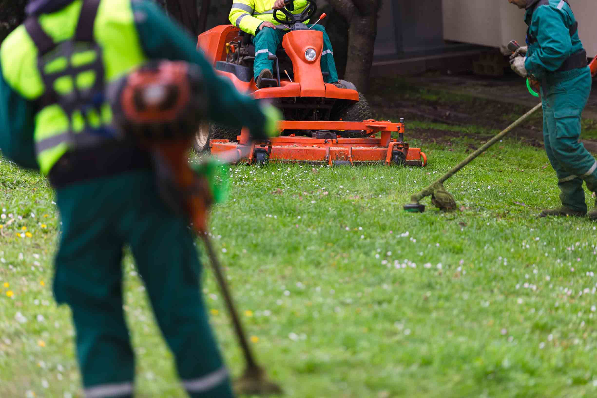 Lawn and Turf Management