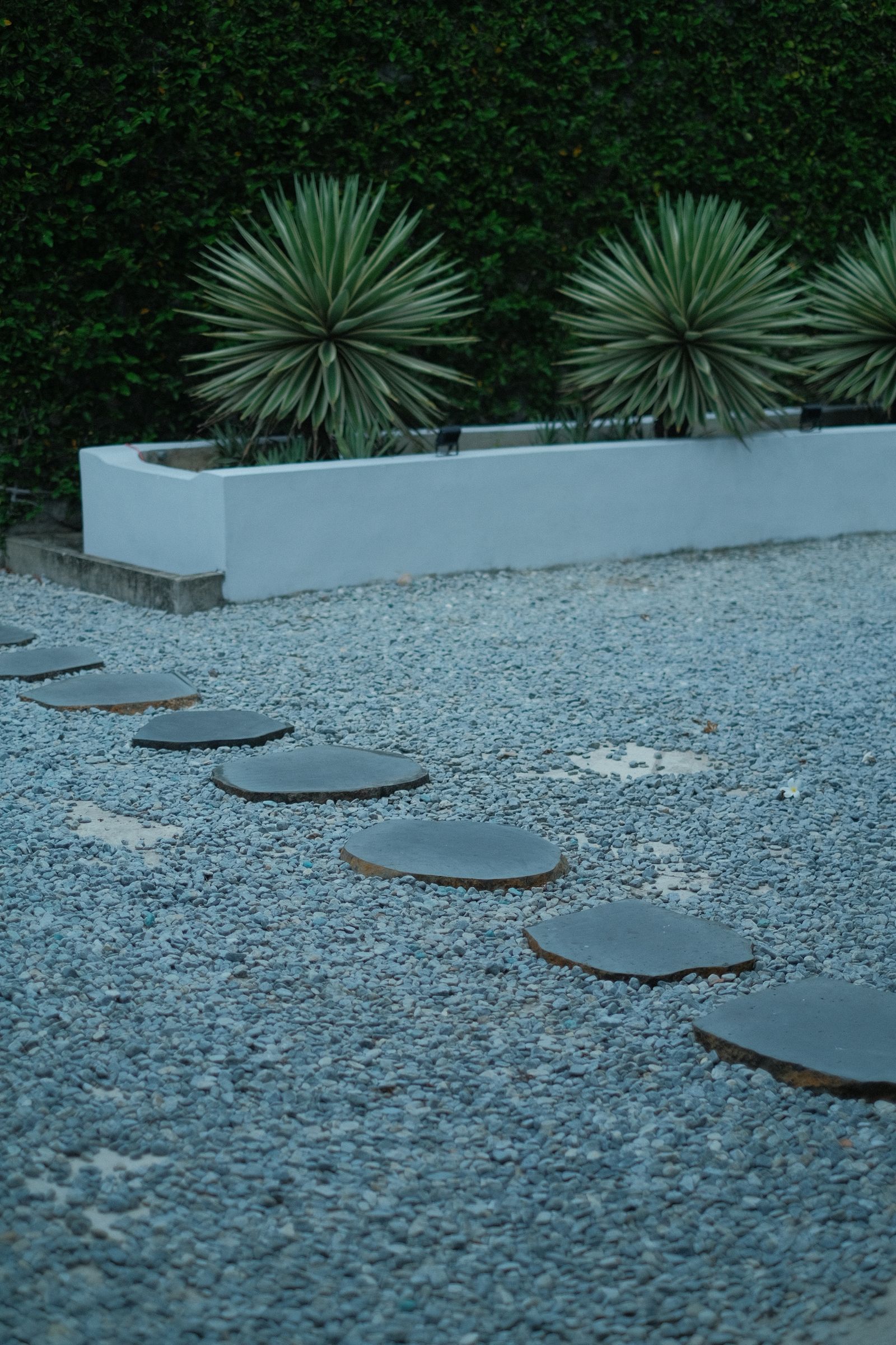 Low-maintenance landscaping for Indian homes — a hardy, easy-care garden