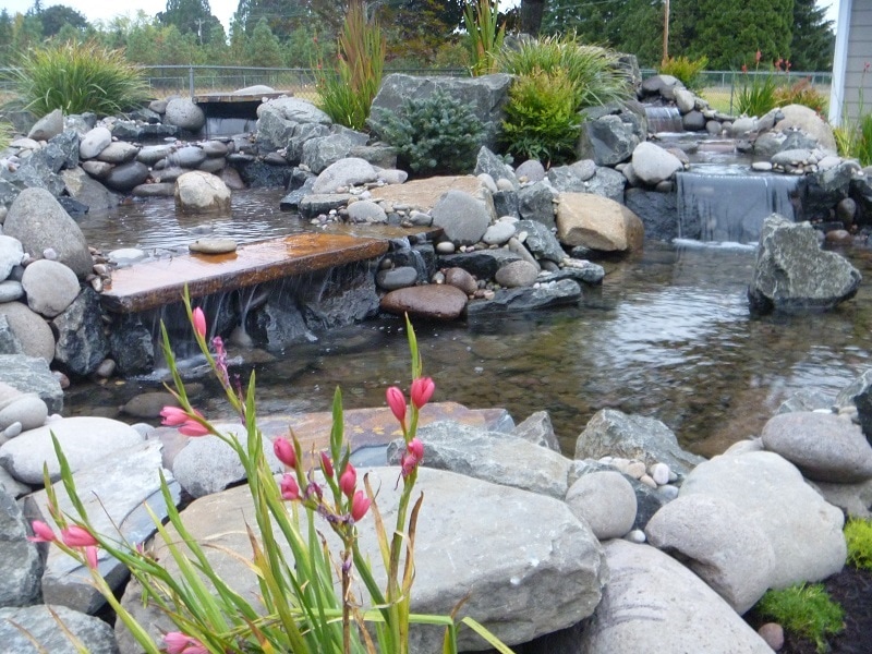 Natural Ponds Construction